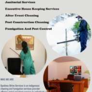 Spotless Shine Services
