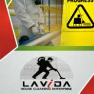 Lavida House Cleaning