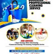 DOMINION PROFESSIONAL CLEANING SERVICES