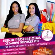 Jesnik Professional Cleaning Services LTD