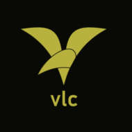 Visions Lighting Company