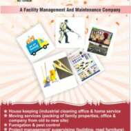 De greatfinger global resources ltd