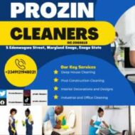 PROZIN CLEANERS (CAC Registered)