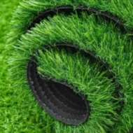 Frankdona Green Grass