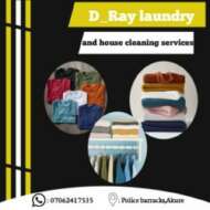 D_Ray Laundry and Cleaning Services