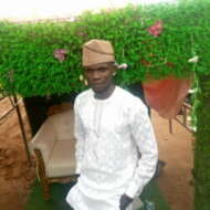 Olayemi Plumbing service
