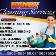 DAMZY CLEANING SERVICES