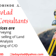 GeoLad survey consult