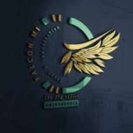 FalconMi Events & Consultations