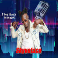 Skyveface