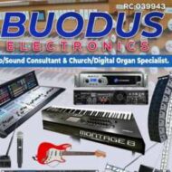 Buodus Electronics