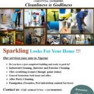 OLIVE MAINTENANCE AND CLEANING SERVICE