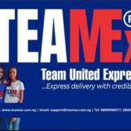 TEAMEX SERVICES NIGERIA LIMITED
