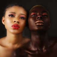InsightVisuals