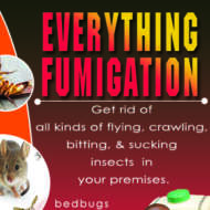EVERYTHING FUMIGATION
