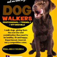 Aj dog walker services.