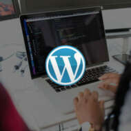 Ollyweb Consultant