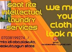 Seat Rite Intellectual Laundry services