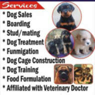 Emmak Kennel N Dog Care