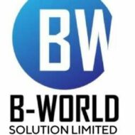 B-World Solution Limited