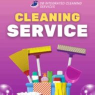 Dream Big Integrated Cleaning Services