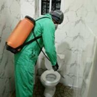 D&V EXCLUSIVE CLEANING SERVICES AND MAINTENANCE