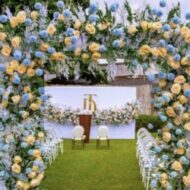 Events by T