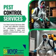 Shmoyor Cleaning and Errands Services