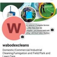 WABODEXCLEANS