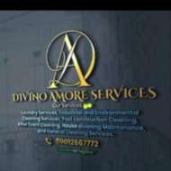 Divino amore industrial and environmental cleaning services
