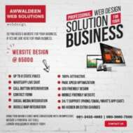 AwwalDeen Web Solutions