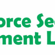 Donforce Security and Investment Limited