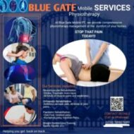 BLUE GATE PHYSIOTHERAPY SERVICES