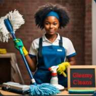 GLEAMY CLEANS