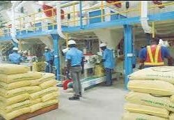 olam Nigeria Limited
