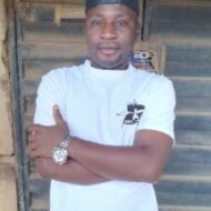 Emmy external and interior service's
