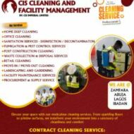 Capstone Integrated Solutions