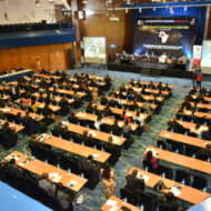 Public Affairs