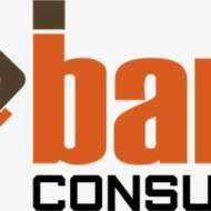 Bam Consults