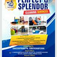 Perfect & Splendor Cleaning Services