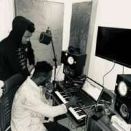 Stereo hive