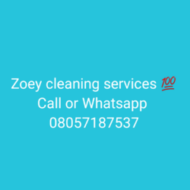 Zoey cleaning services