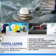 Aeriallearis cleaning services