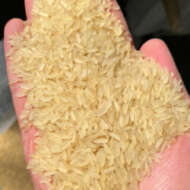 Fortune Rice mill limited