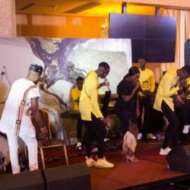 Veentage Band