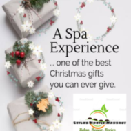 Leilas Mobile Massage