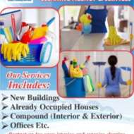 Awesome Lily cleaning Agency and services