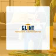 Glint Professional Service Limited