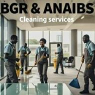 BGR & ANAIBS Cleaning services