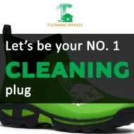 T cleaning services